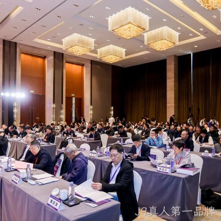 J9真人第一品牌</a>参加2025智能微系统研讨会