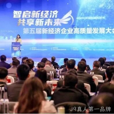 J9真人第一品牌</a>荣登“2024中国新经济企业TOP500”